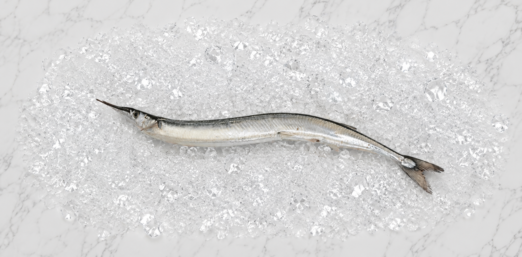 Hornfisk