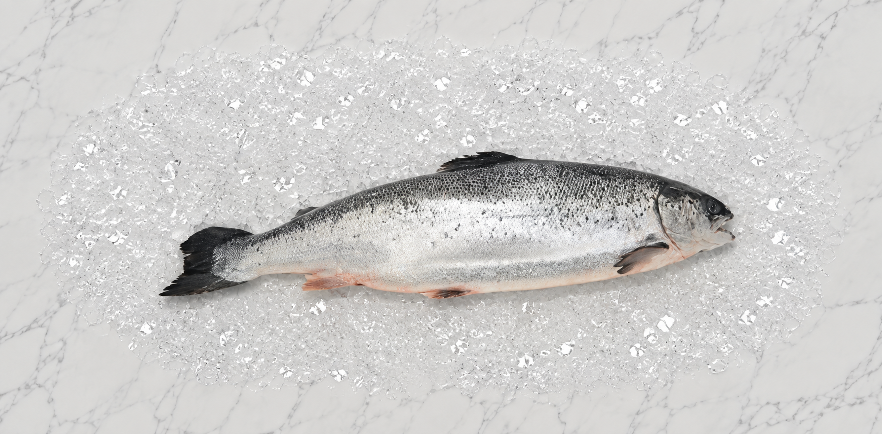 Skagen Salmon hele