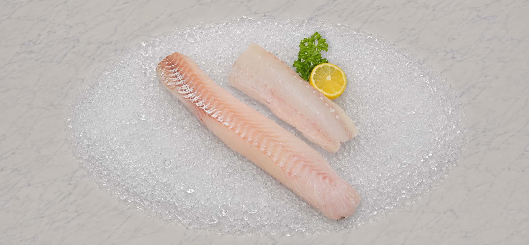 Torskeloins