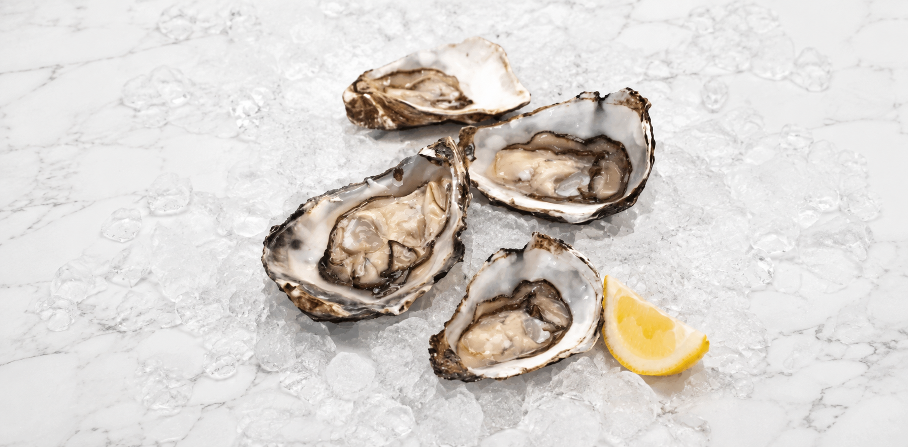 Oysters