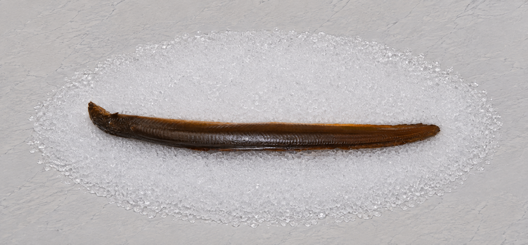 Hot smoked eel