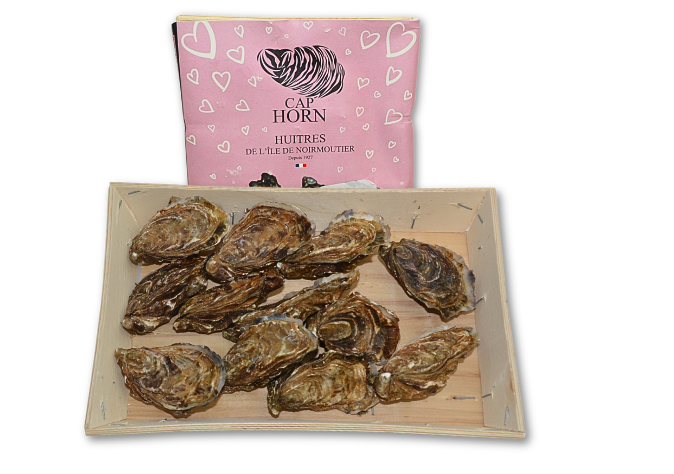 Østers Finde de Claire