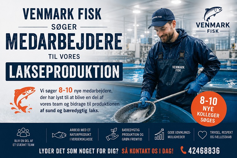 Medarbejdere til lakseproduktion